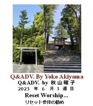 Q & Adv, Yoko Akiyama, 秋山曜子, 