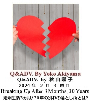 Q & Adv, Yoko Akiyama, 秋山曜子, 