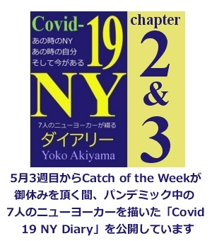 COVID Diary chap 2 3