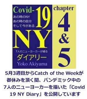COVID Diary chap 4 5