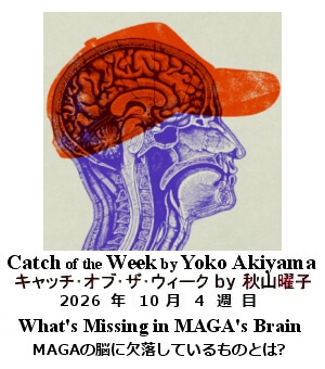 �L���b�`�E�I�u�E�U�E�E�B�[�N Yoko Akiyama