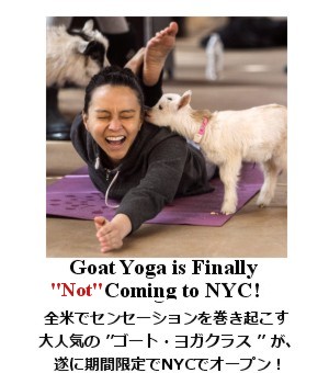 Goat Yoga